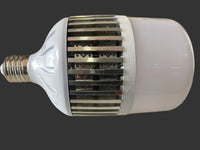 Led Bulb 100W 6500K E40
